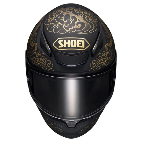 Casco Shoei RF-1400 Fearless TC-5